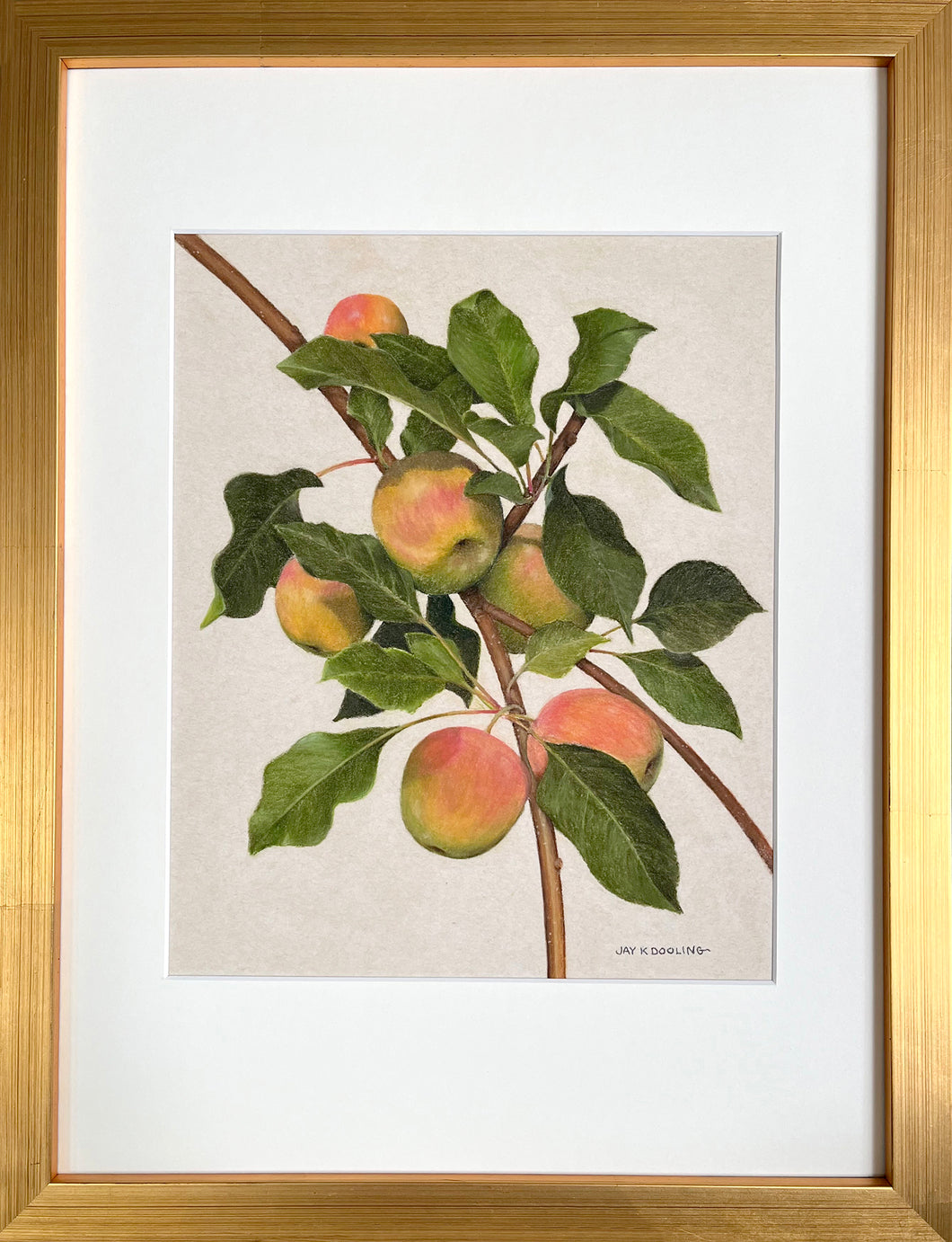 Apples