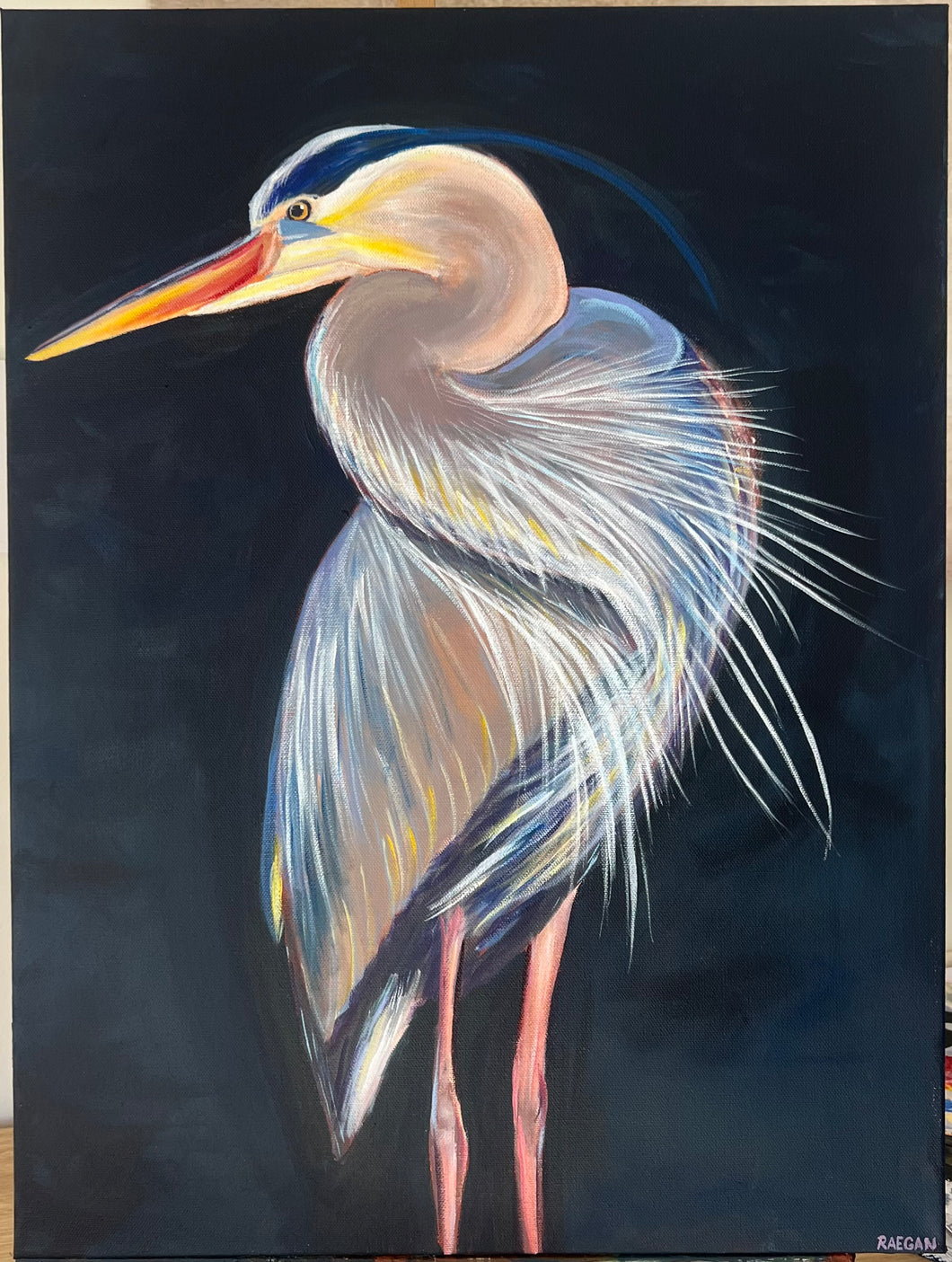 Midnight Fisher