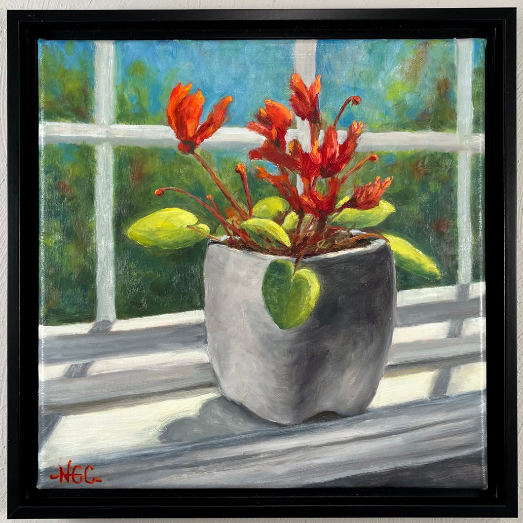 Sunny Sill