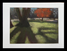 Load image into Gallery viewer, Willowood Park
