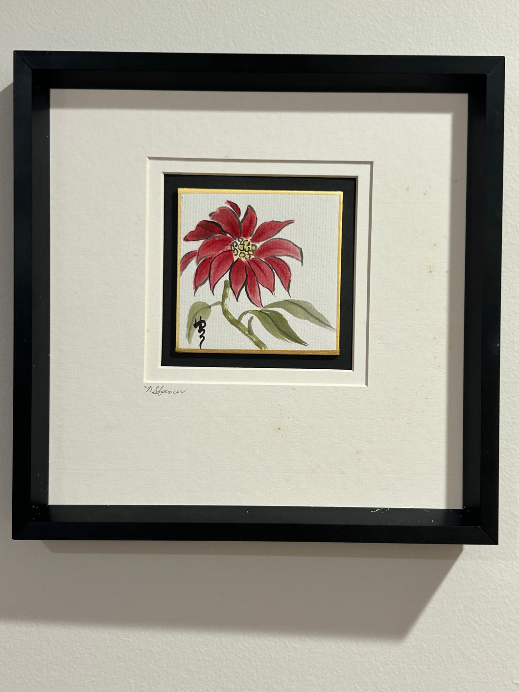 Poinsettia