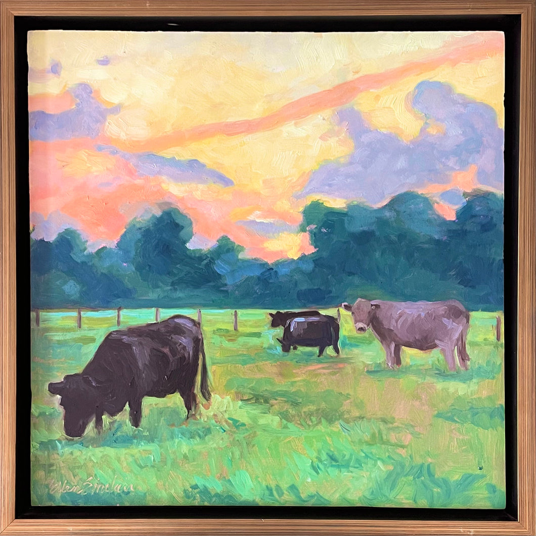 Evening Grazers